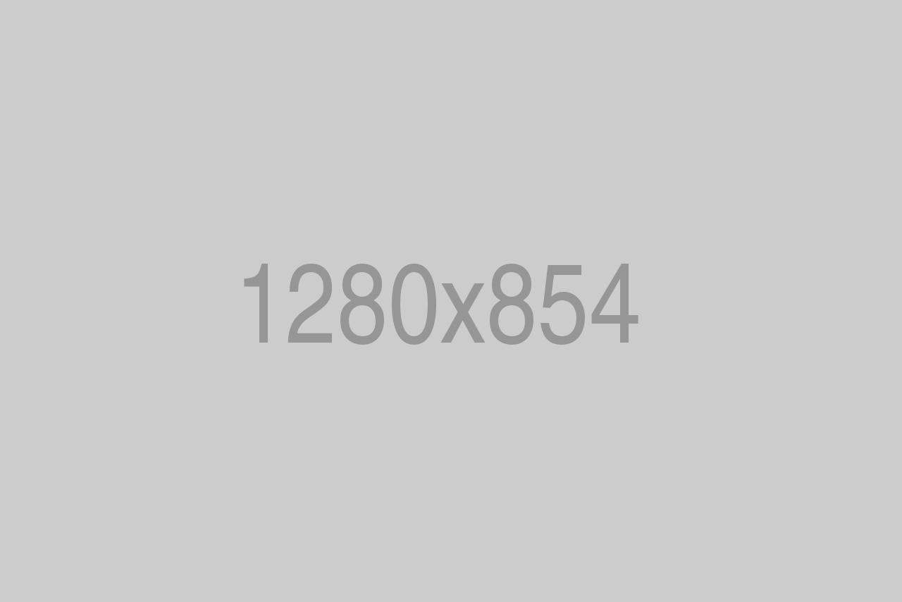 divi-renovator-theme-14